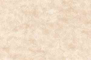 Ковролин AW Cantate 33 фото  | FLOORDEALER